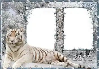 Foto-effetti della categoria Vari № 45917