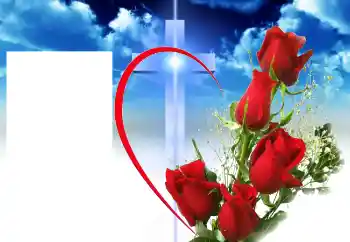 Foto-effetti della categoria Vari № 46964