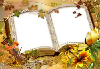 Foto-effetti della categoria Vari № 47137