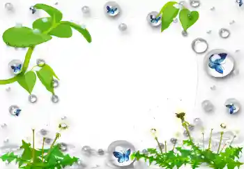 Foto-effetti della categoria Vari № 47168