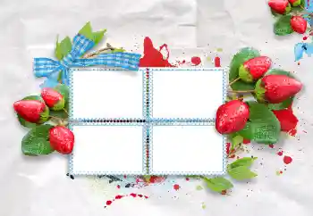 Foto-effetti della categoria Vari № 47209