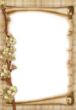 Foto-effetti della categoria Vari № 47303