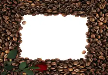 Scrittura sulla cornice: Good Morning!