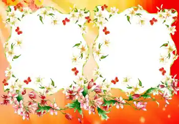 Foto-effetti della categoria Vari № 4894