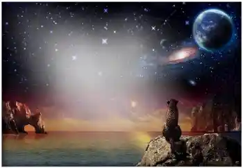 Foto-effetti della categoria Vari № 49504