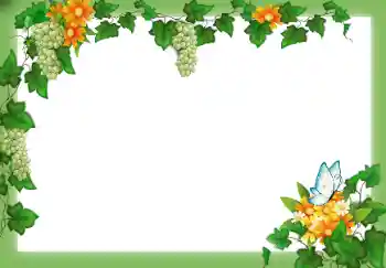 Foto-effetti della categoria Vari № 49547