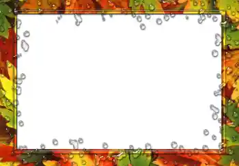 Foto-effetti della categoria Vari № 49551