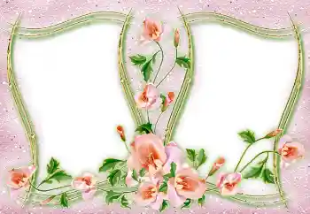 Foto-effetti della categoria Vari № 4982