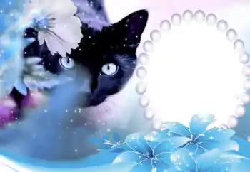 Foto-effetti della categoria Vari № 50647