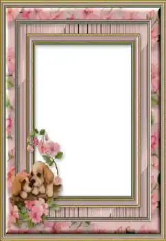 Foto-effetti della categoria Vari № 50746