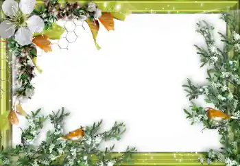 Foto-effetti della categoria Vari № 52034