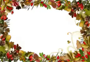 Foto-effetti della categoria Vari № 52161