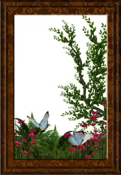 Foto-effetti della categoria Vari № 52231