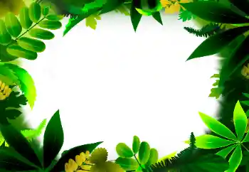 Foto-effetti della categoria Vari № 56530