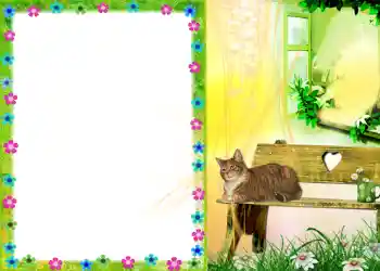 Foto-effetti della categoria Vari № 579