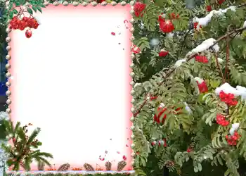 Foto-effetti della categoria Vari № 581