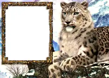 Foto-effetti della categoria Vari № 585