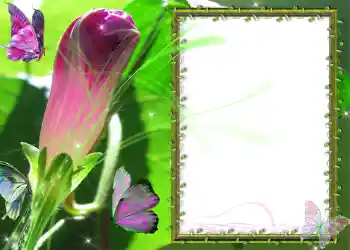 Foto-effetti della categoria Vari № 586