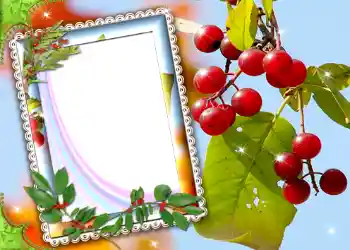 Foto-effetti della categoria Vari № 587