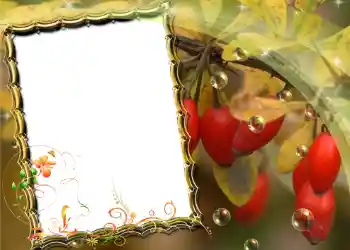 Foto-effetti della categoria Vari № 588