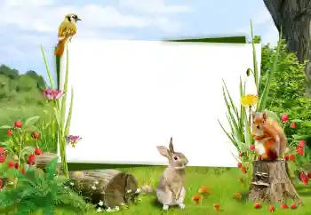 Foto-effetti della categoria Vari № 59008