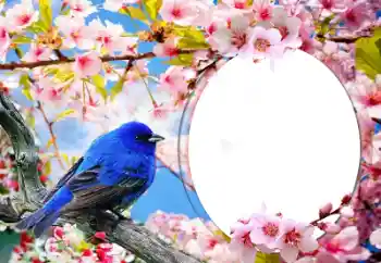 Foto-effetti della categoria Vari № 60139