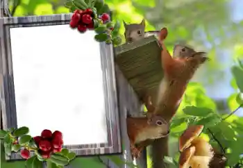 Foto-effetti della categoria Vari № 60195