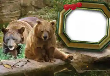 Foto-effetti della categoria Vari № 60215