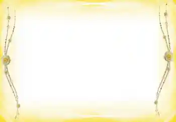 Foto-effetti della categoria Vari № 60289