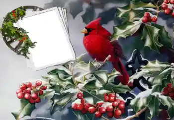 Foto-effetti della categoria Vari № 60370