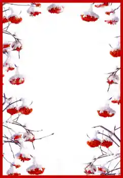 Foto-effetti della categoria Vari № 60402