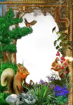 Foto-effetti della categoria Vari № 61573