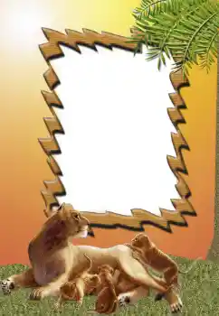 Foto-effetti della categoria Vari № 62681