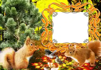 Foto-effetti della categoria Vari № 64207