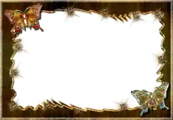 Foto-effetti della categoria Vari № 64448