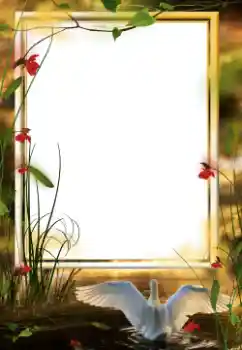 Foto-effetti della categoria Vari № 64458