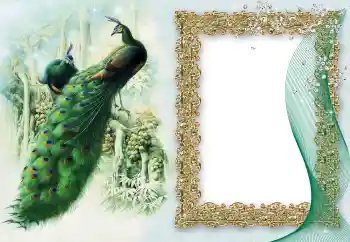 Foto-effetti della categoria Vari № 64460