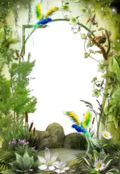 Foto-effetti della categoria Vari № 64461