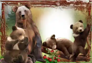 Foto-effetti della categoria Vari № 64467