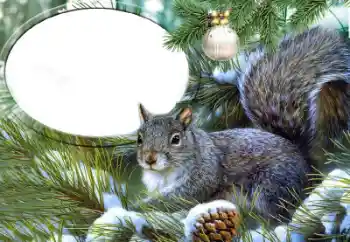 Foto-effetti della categoria Vari № 65735