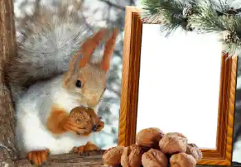 Foto-effetti della categoria Vari № 65737