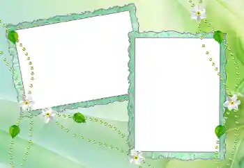 Foto-effetti della categoria Vari № 65884