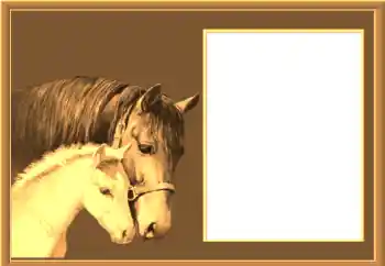 Foto-effetti della categoria Vari № 67145