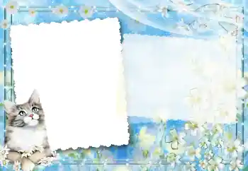 Foto-effetti della categoria Vari № 67194