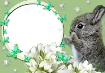 Foto-effetti della categoria Vari № 67247 Foto-effetti della categoria Vari № 67247