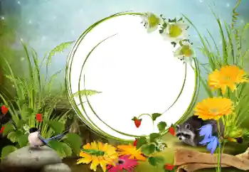 Foto-effetti della categoria Vari № 68455