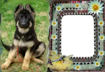 Foto-effetti della categoria Vari № 68616