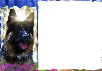 Foto-effetti della categoria Vari № 68617