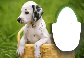 Foto-effetti della categoria Vari № 68648