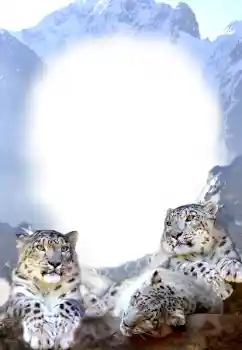 Foto-effetti della categoria Vari № 68679